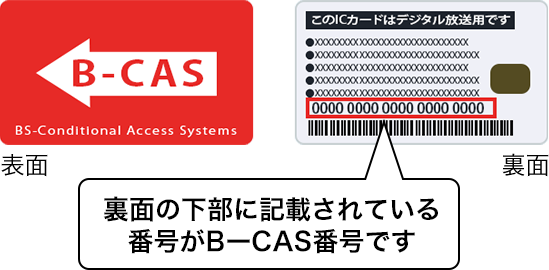 裏面の下部に記載されている番号がB=CAS番号です